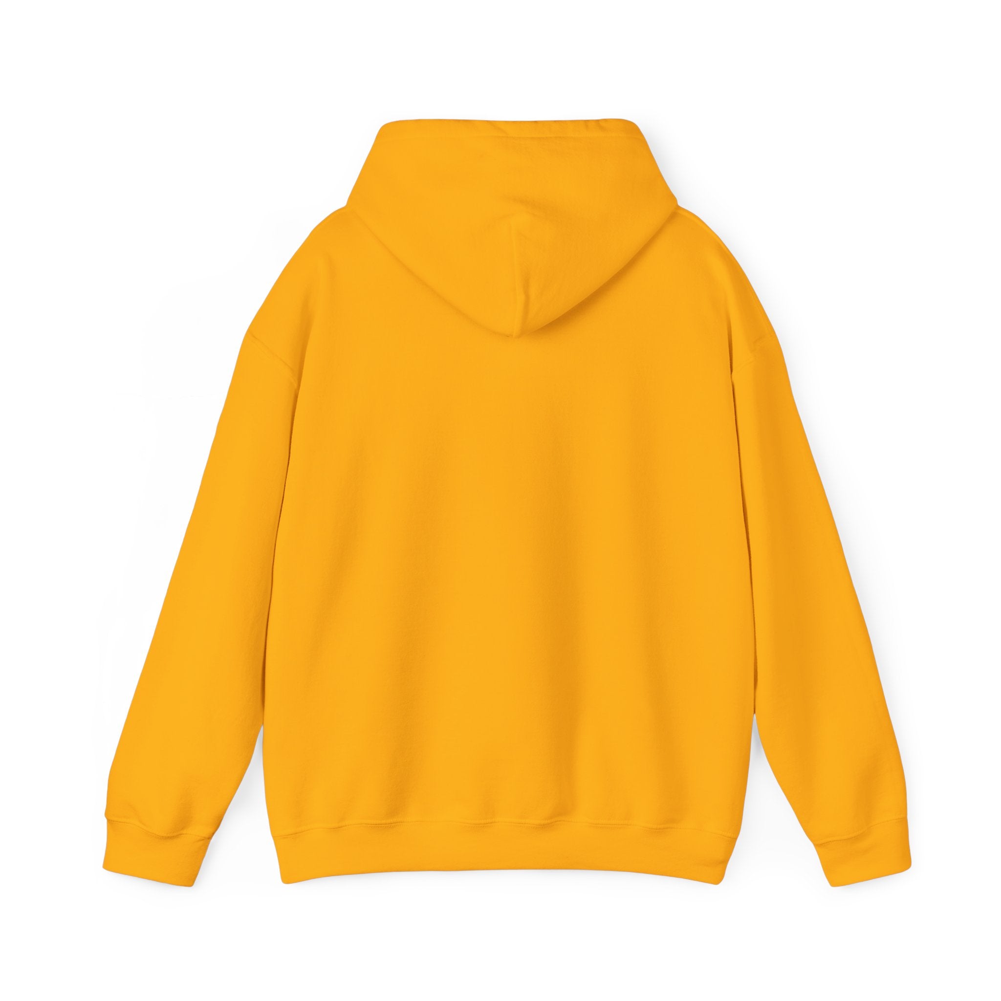 PJ Whoosh 2025 HOODIE