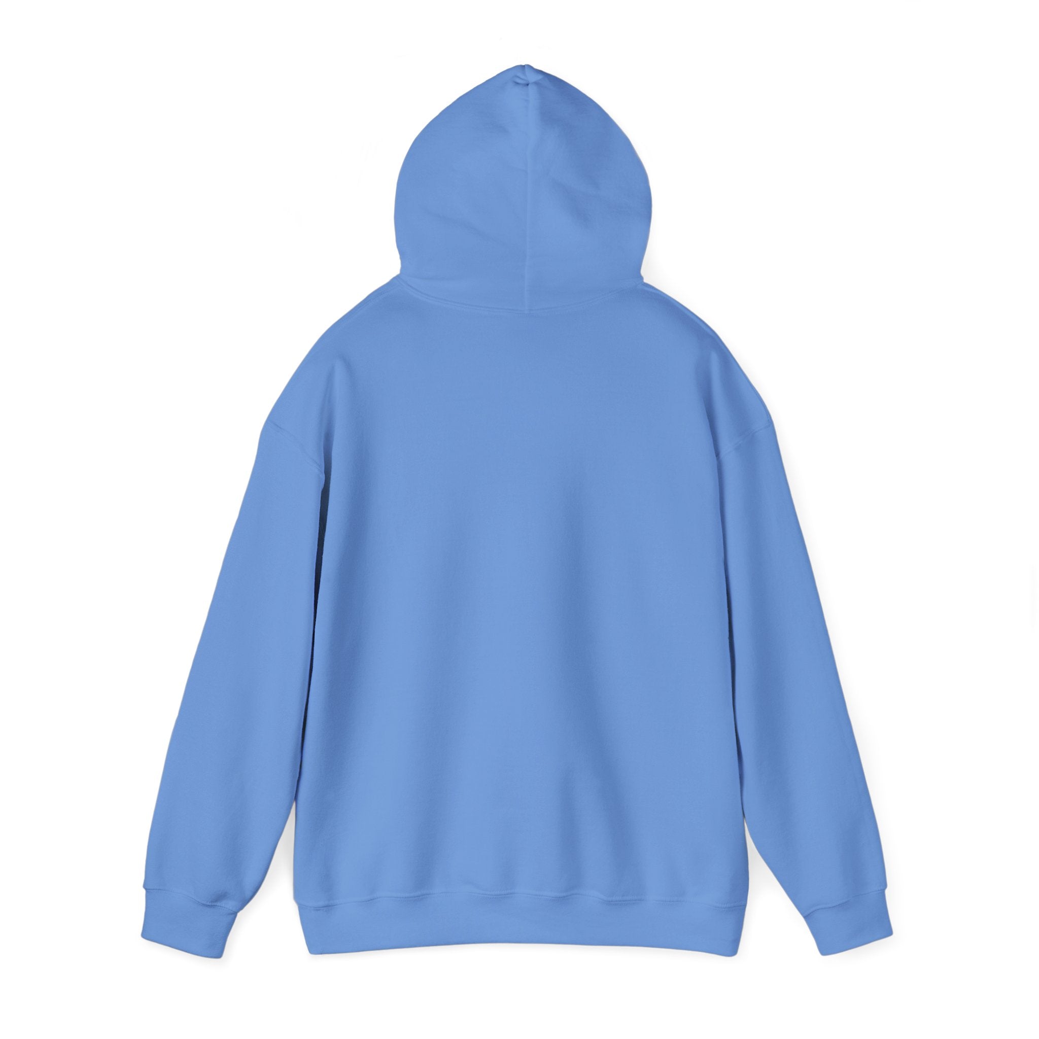 PJ Whoosh 2025 HOODIE