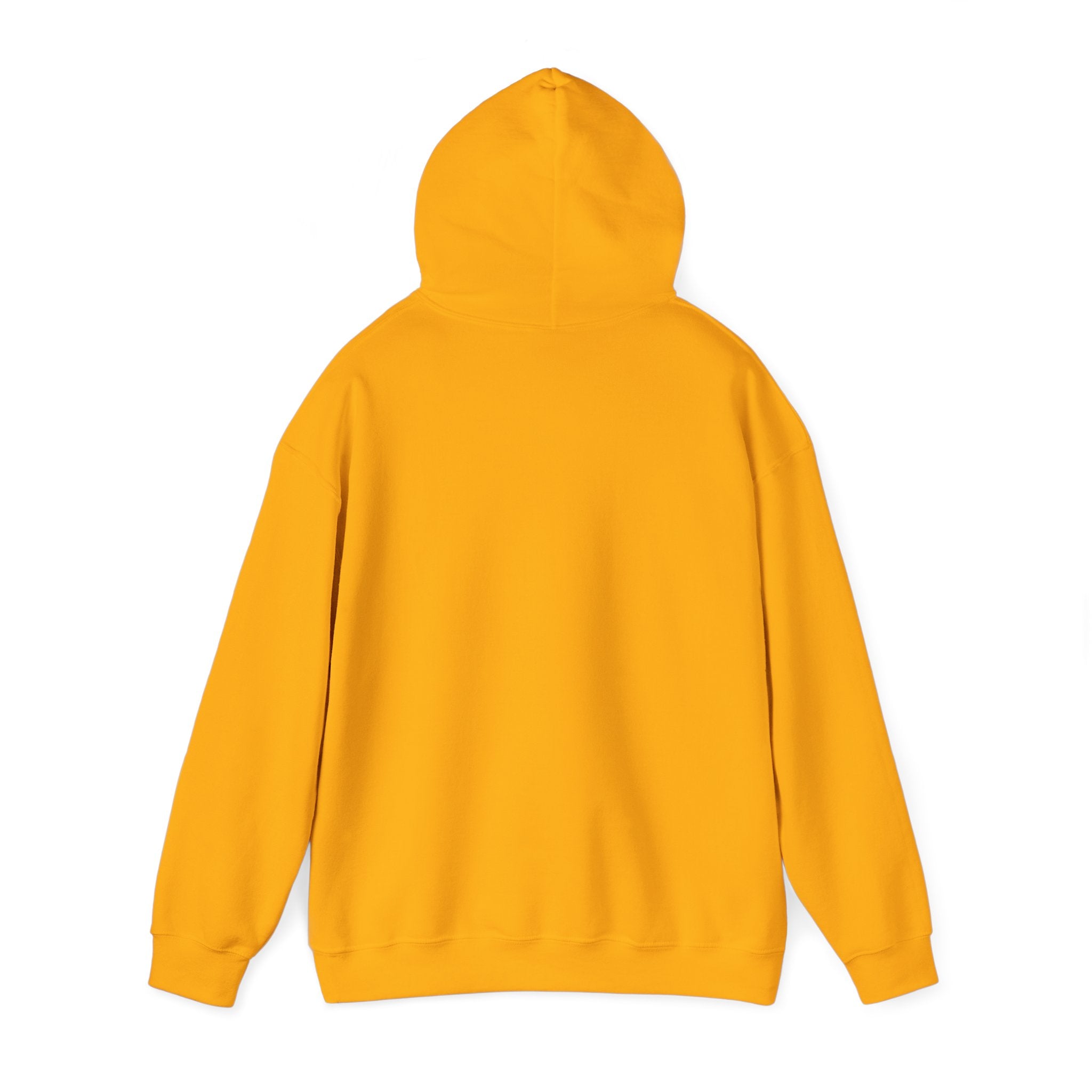 PJ Whoosh 2025 HOODIE